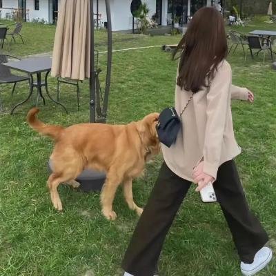 离魂异客